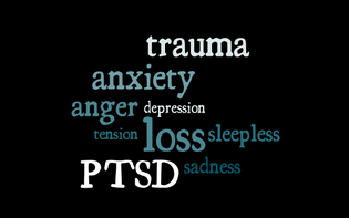 EMDR, PTSD, Anxiety, Depression, Insomnia, Sadness, Anger
