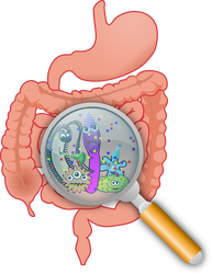stomach bad bacteria